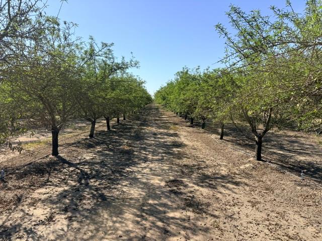 10393 Bradbury Rd, Ballico, CA 95303