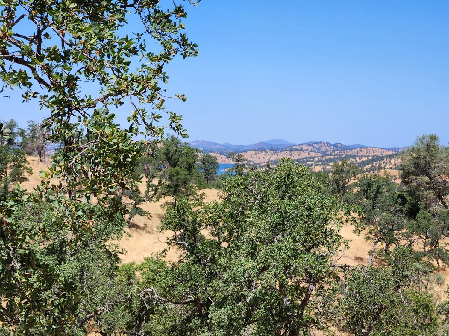 0 0 Penascal Rd, La Grange, CA 95329