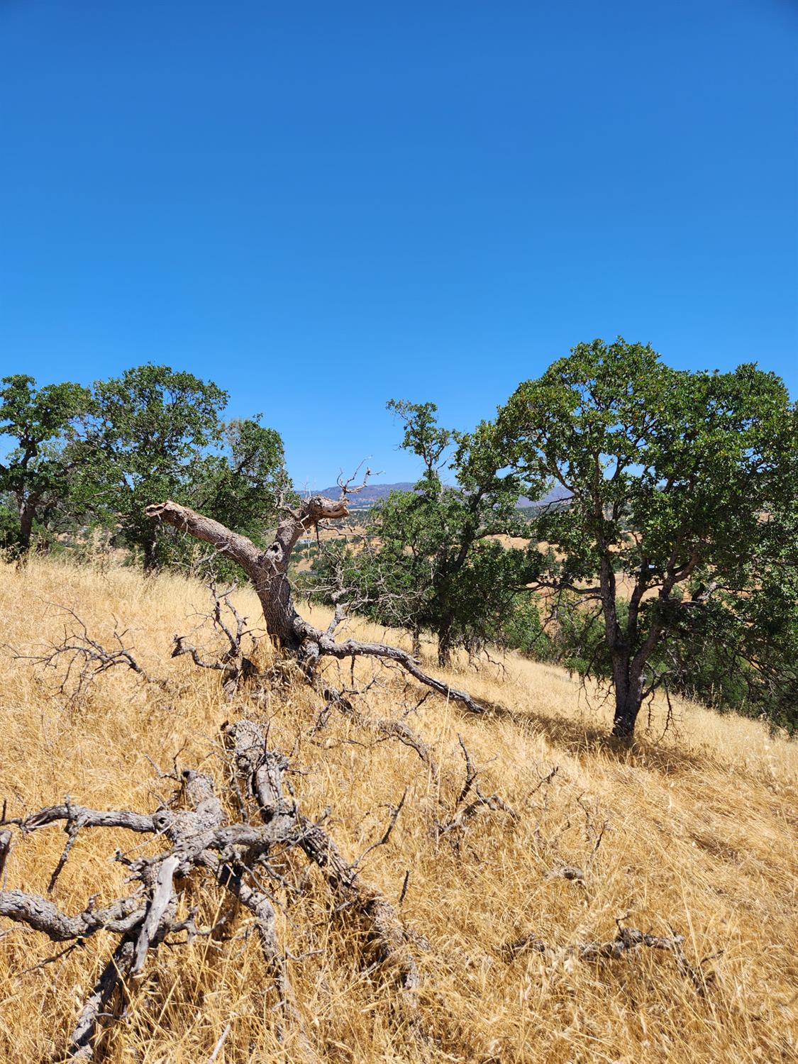 0 0 Penascal Rd, La Grange, CA 95329