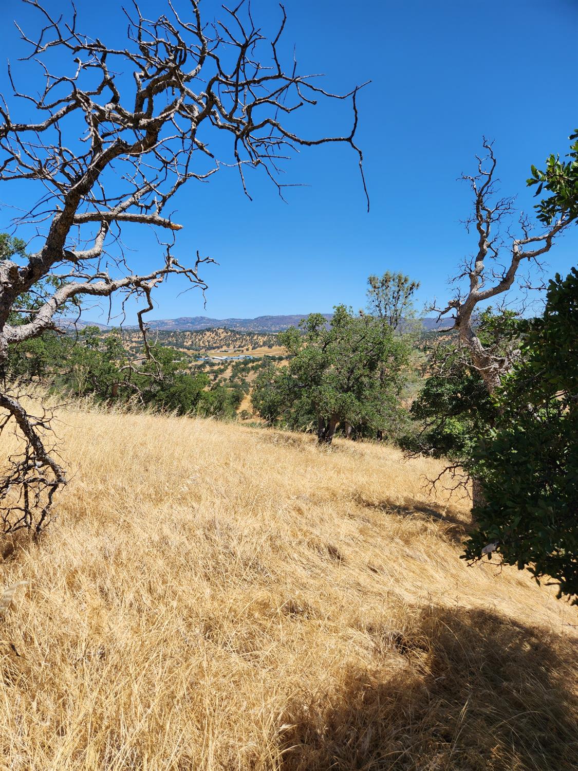 0 0 Penascal Rd, La Grange, CA 95329