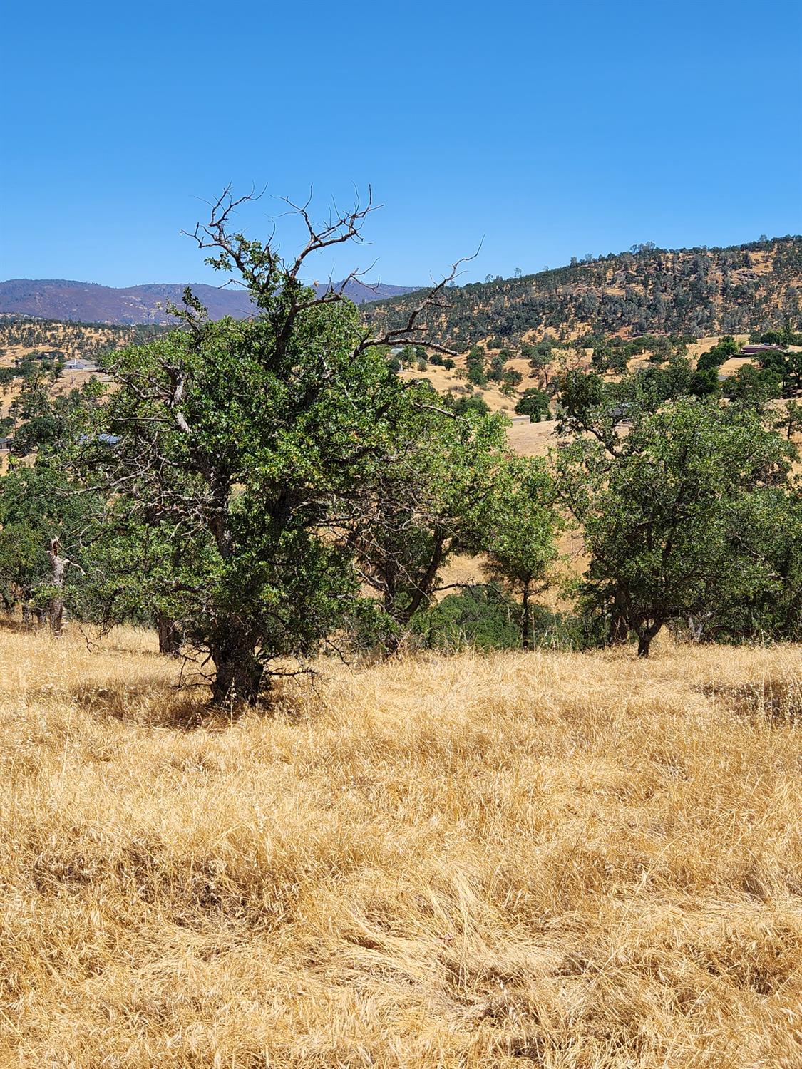0 0 Penascal Rd, La Grange, CA 95329