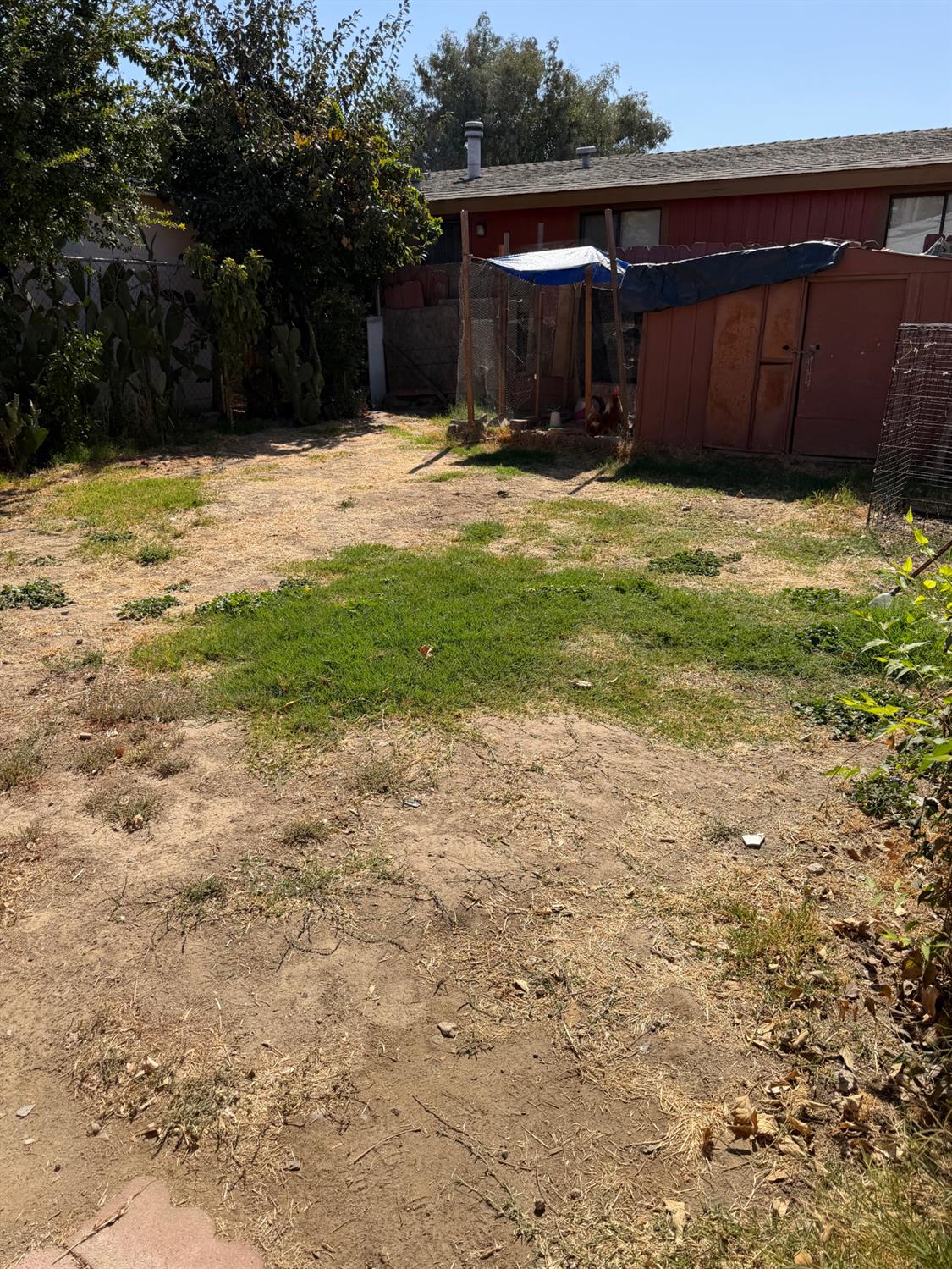 802 wheatley, Modesto, CA 95351