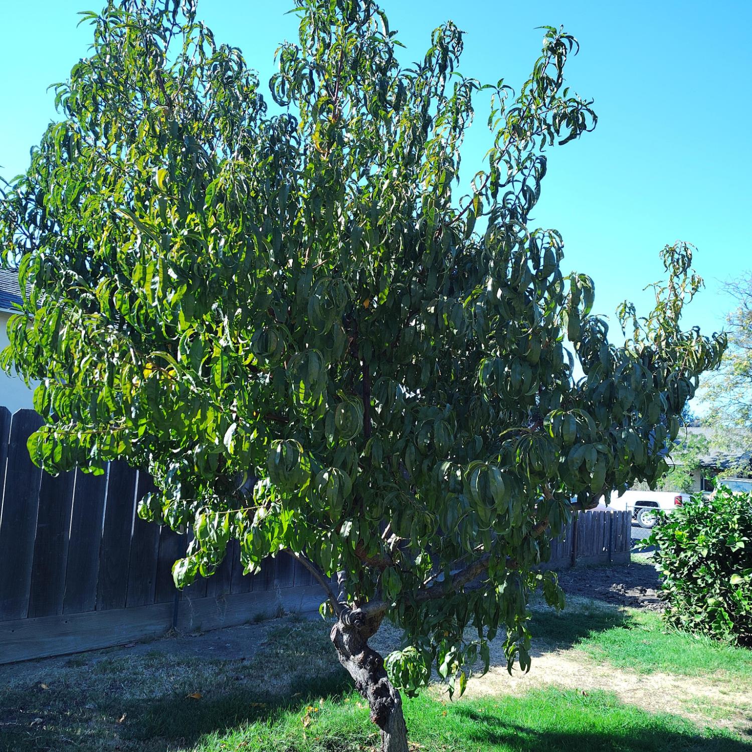 1540 Teresa St, Modesto, CA 95350
