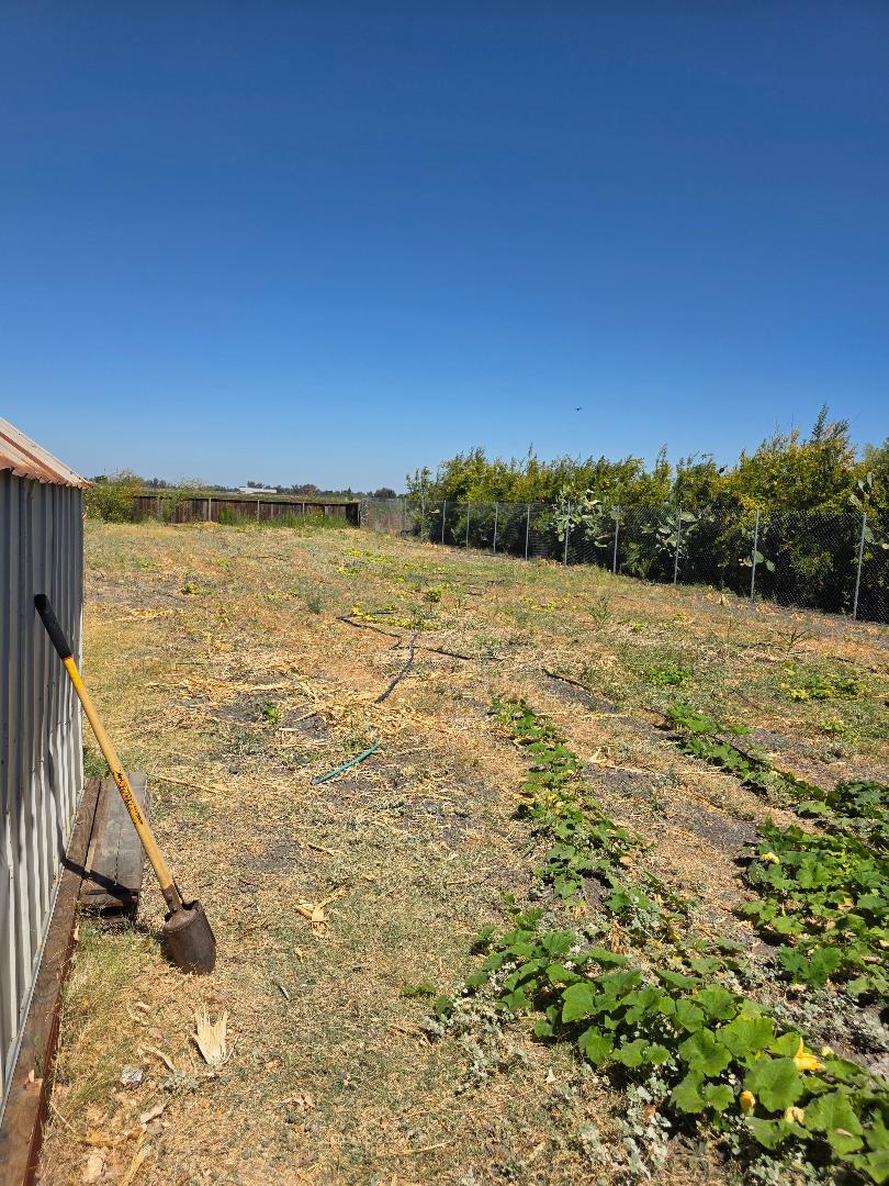 8794 BLOSSOM Ave, Dos Palos, CA 93620