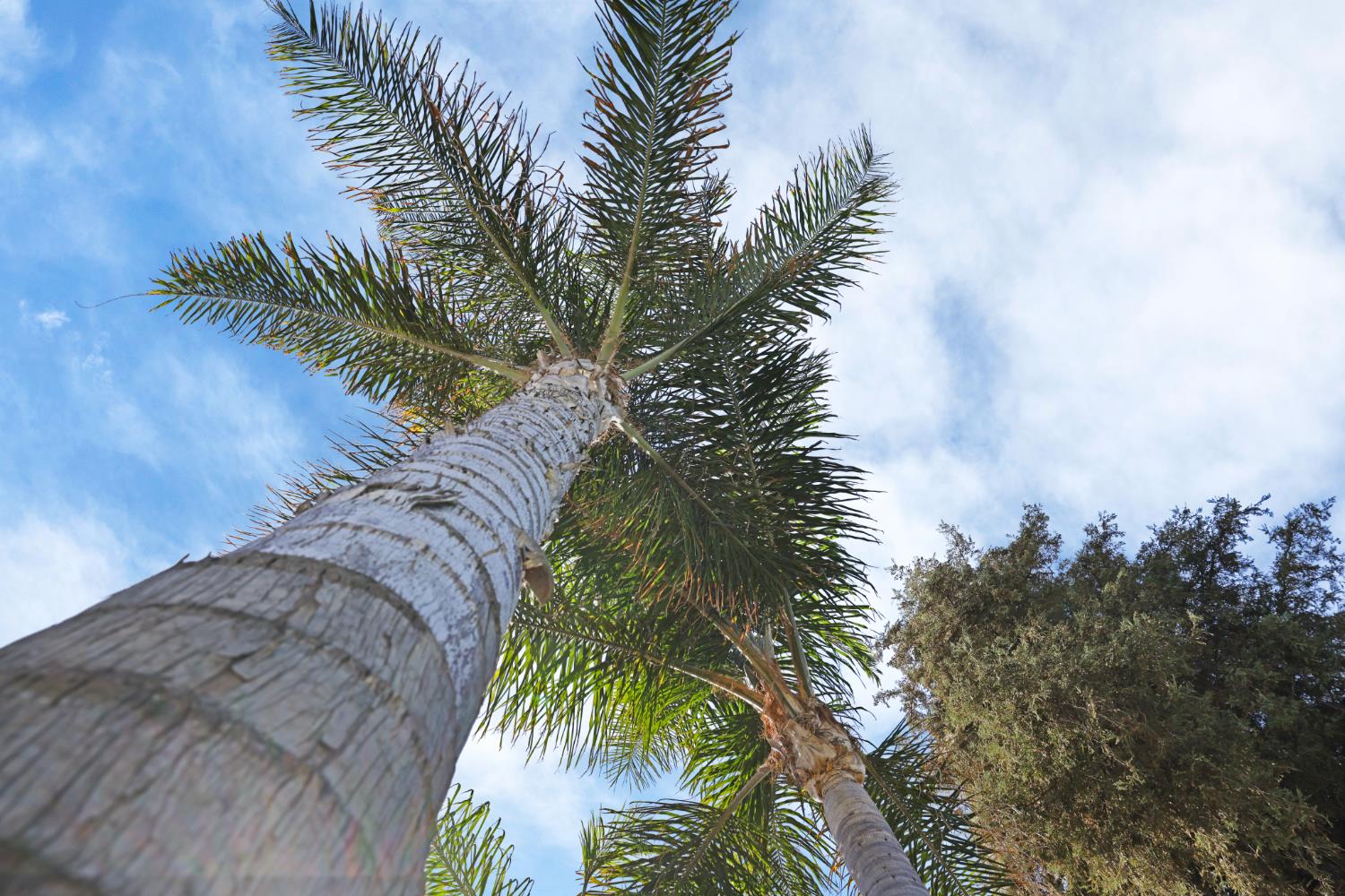 120 Andrews Ct, Turlock, CA 95380