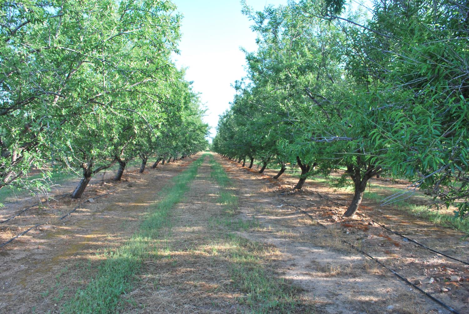 Open Photo