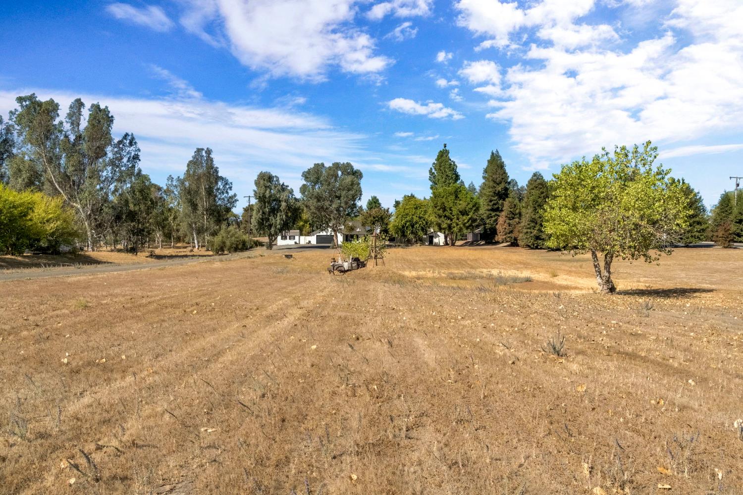 15446 Monreal Rd, Madera, CA 93636