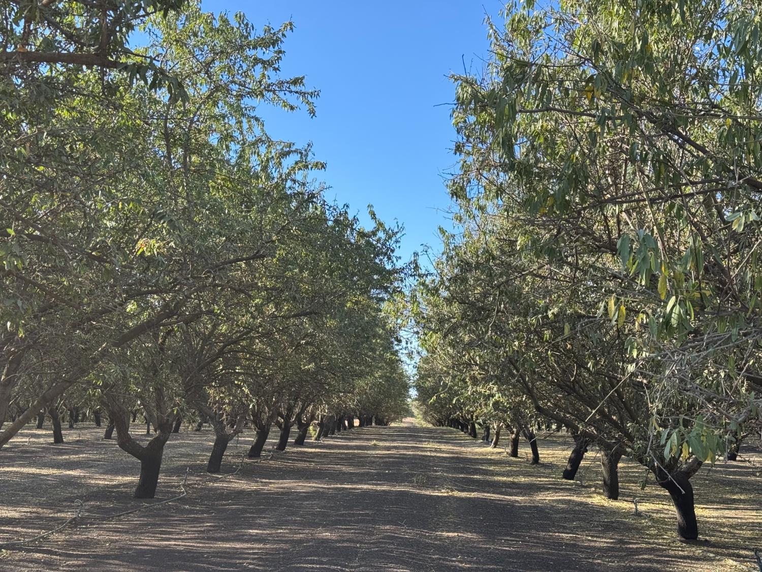 14540 Claribel Rd, Waterford, CA 95386