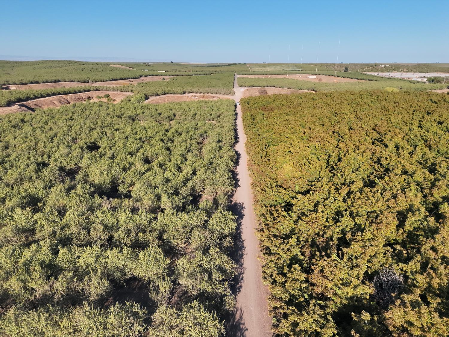 14540 Claribel Rd, Waterford, CA 95386