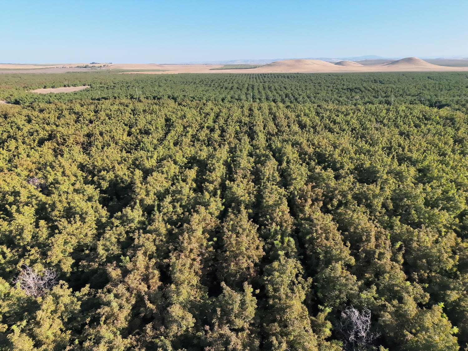 14540 Claribel Rd, Waterford, CA 95386
