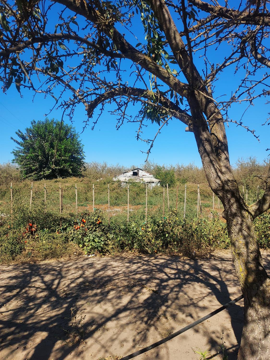 2266 N Hart Rd, Modesto, CA 95358