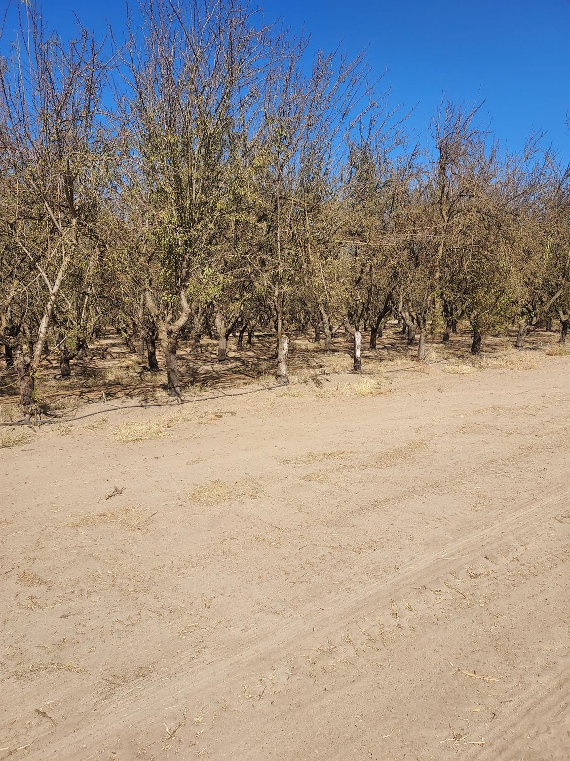 2266 N Hart Rd, Modesto, CA 95358