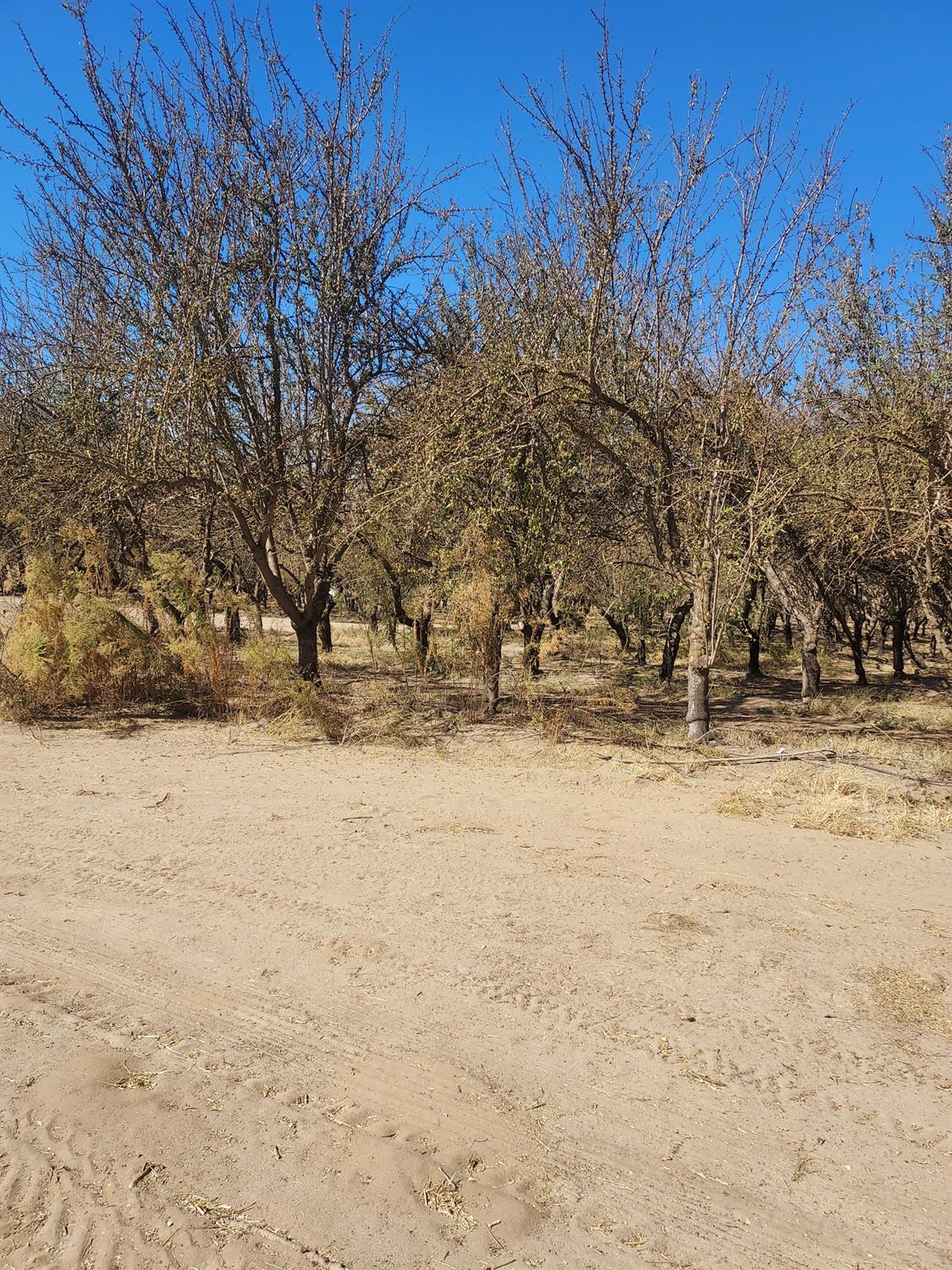 2266 N Hart Rd, Modesto, CA 95358