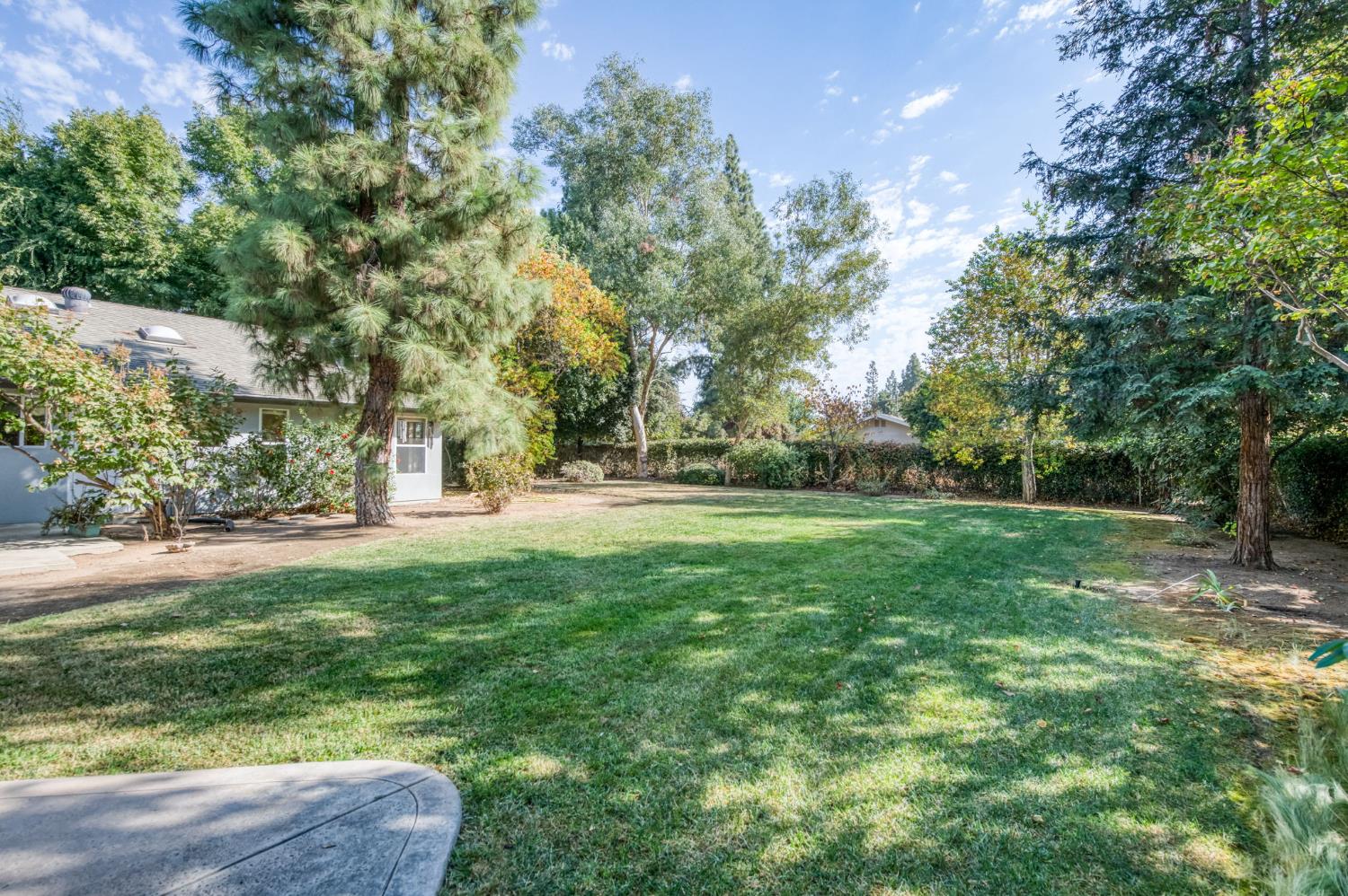Open Photo