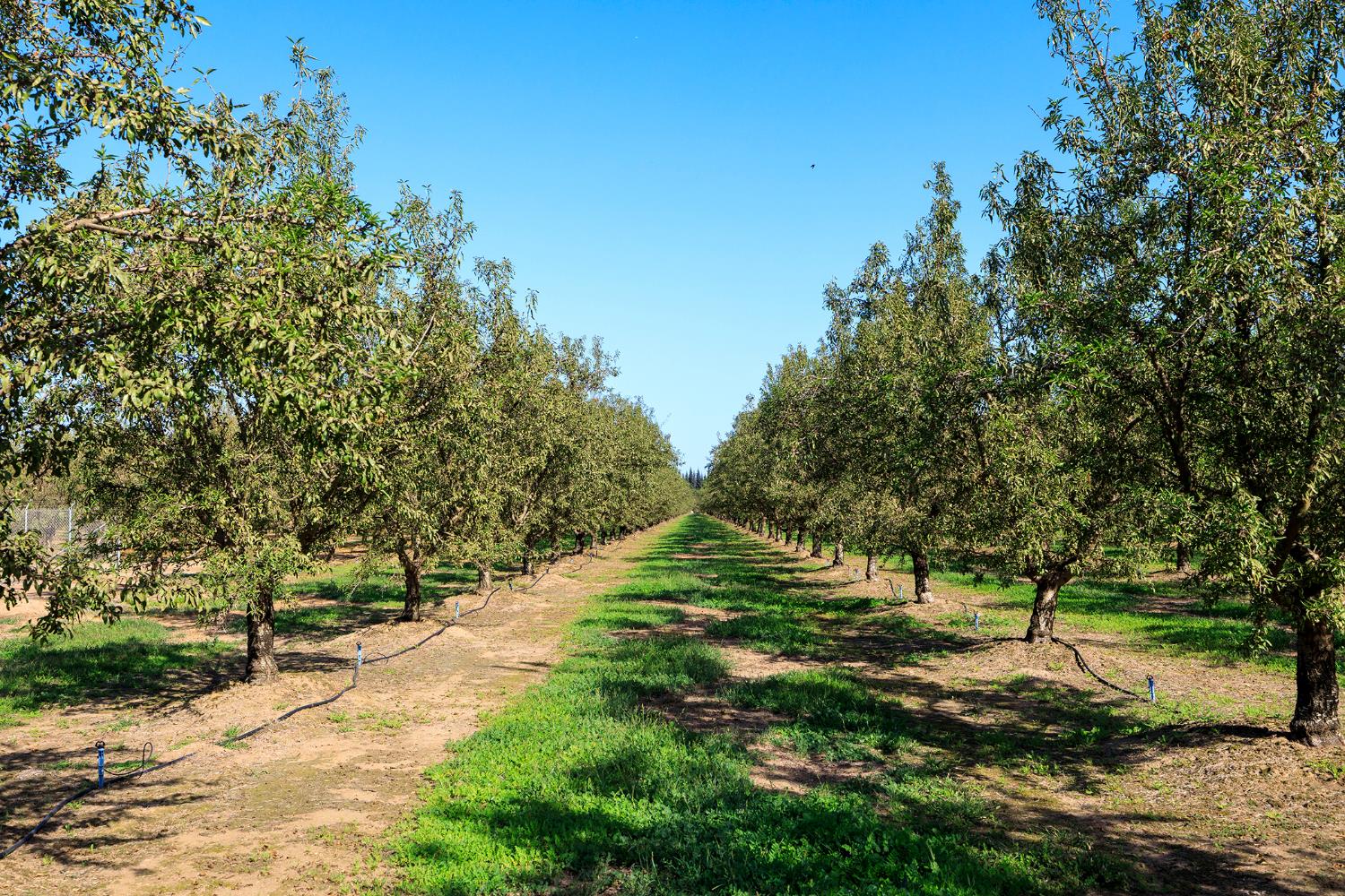 20505 State Highway 120, Escalon, CA 95320