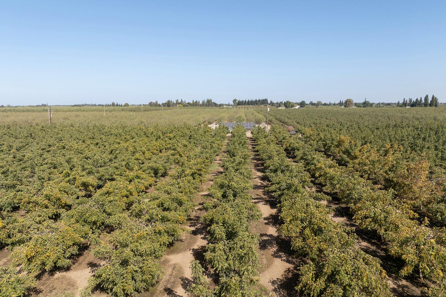 20505 State Highway 120, Escalon, CA 95320