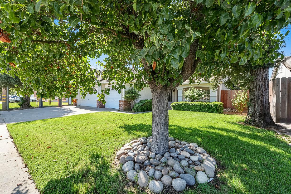 4503 Fosberg Rd, Turlock, CA 95382