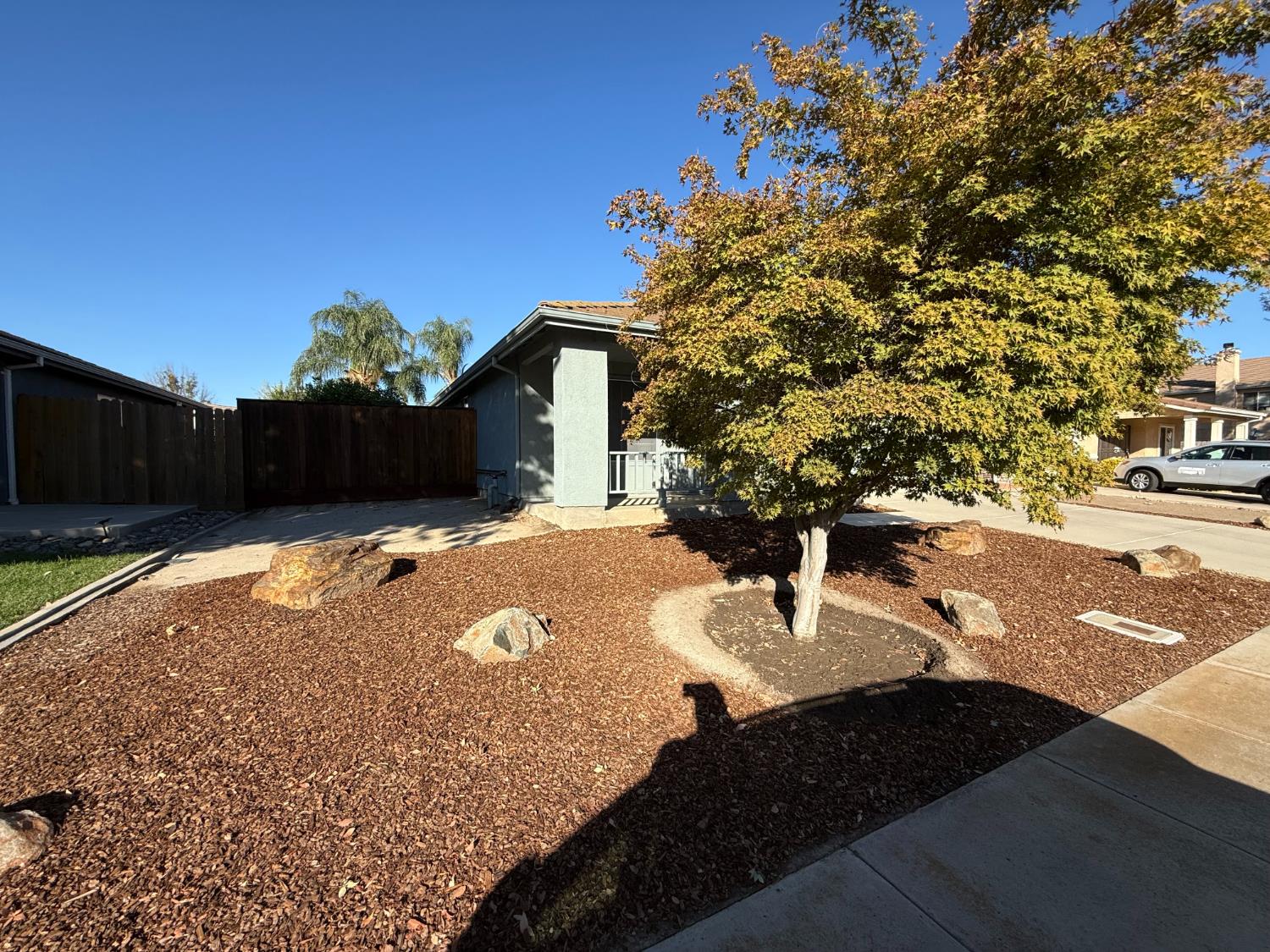 3341 Cardinal Flower Ave, Modesto, CA 95355