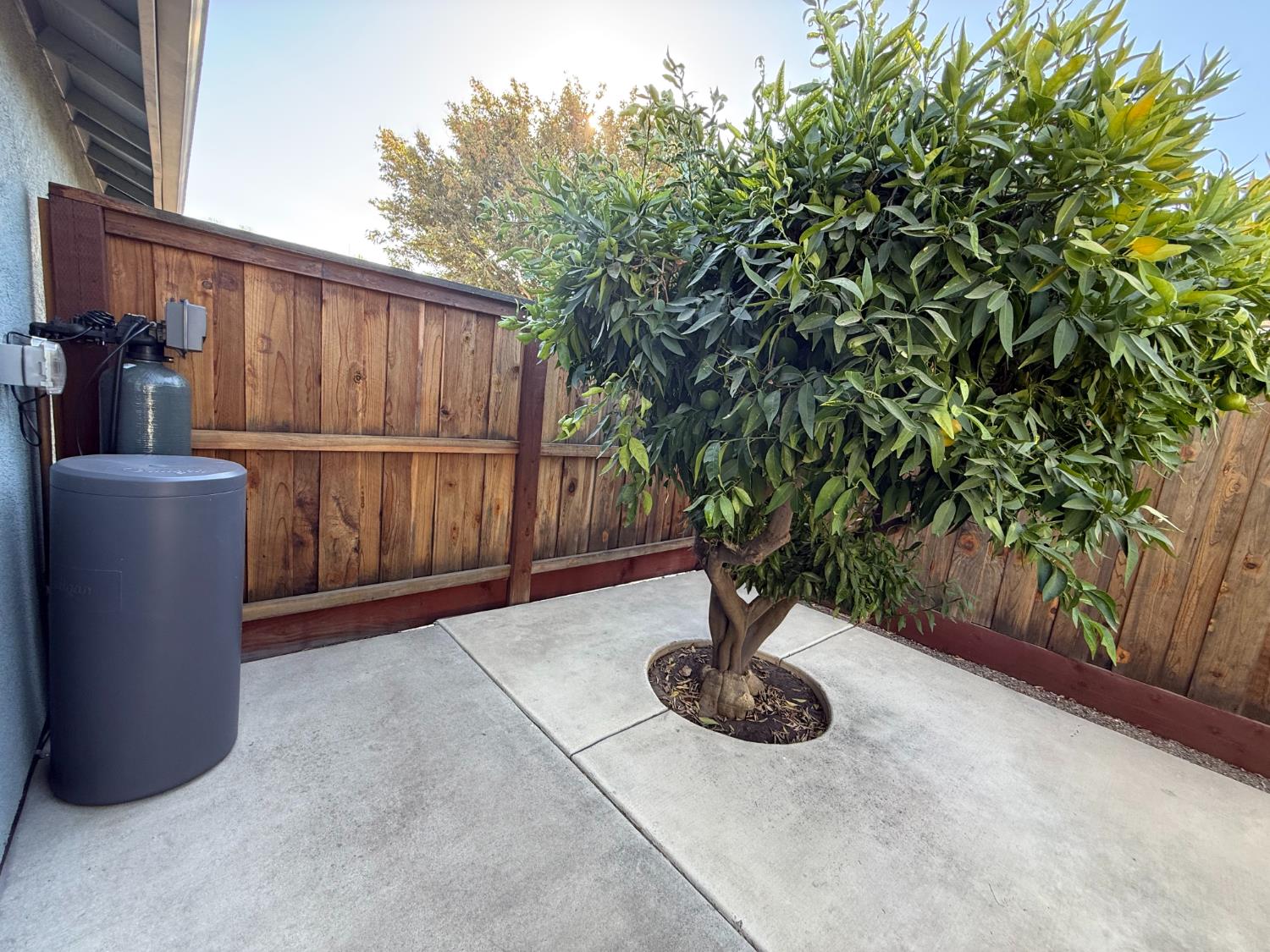 3341 Cardinal Flower Ave, Modesto, CA 95355