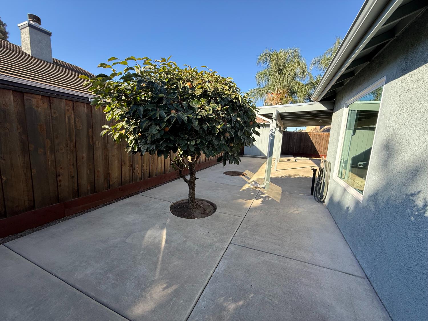 3341 Cardinal Flower Ave, Modesto, CA 95355