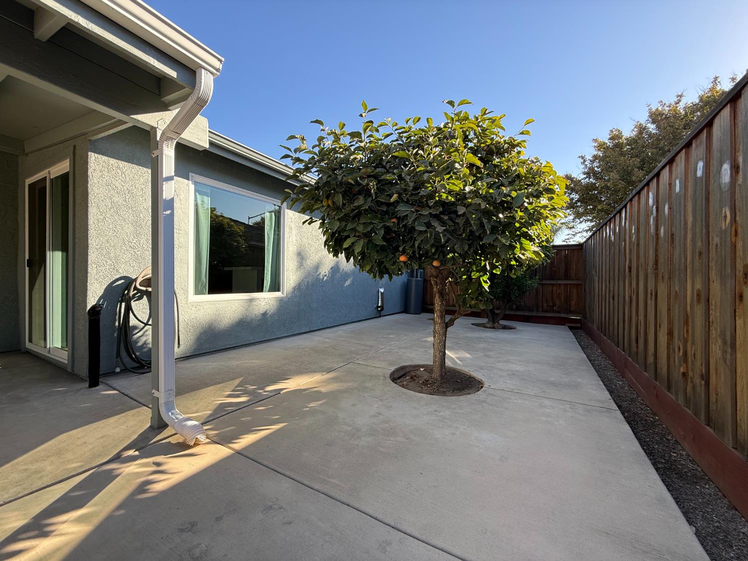 3341 Cardinal Flower Ave, Modesto, CA 95355