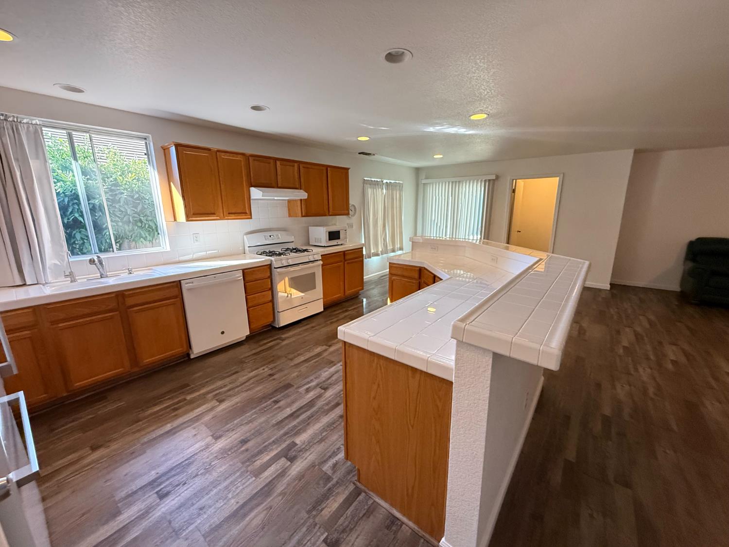 3341 Cardinal Flower Ave, Modesto, CA 95355