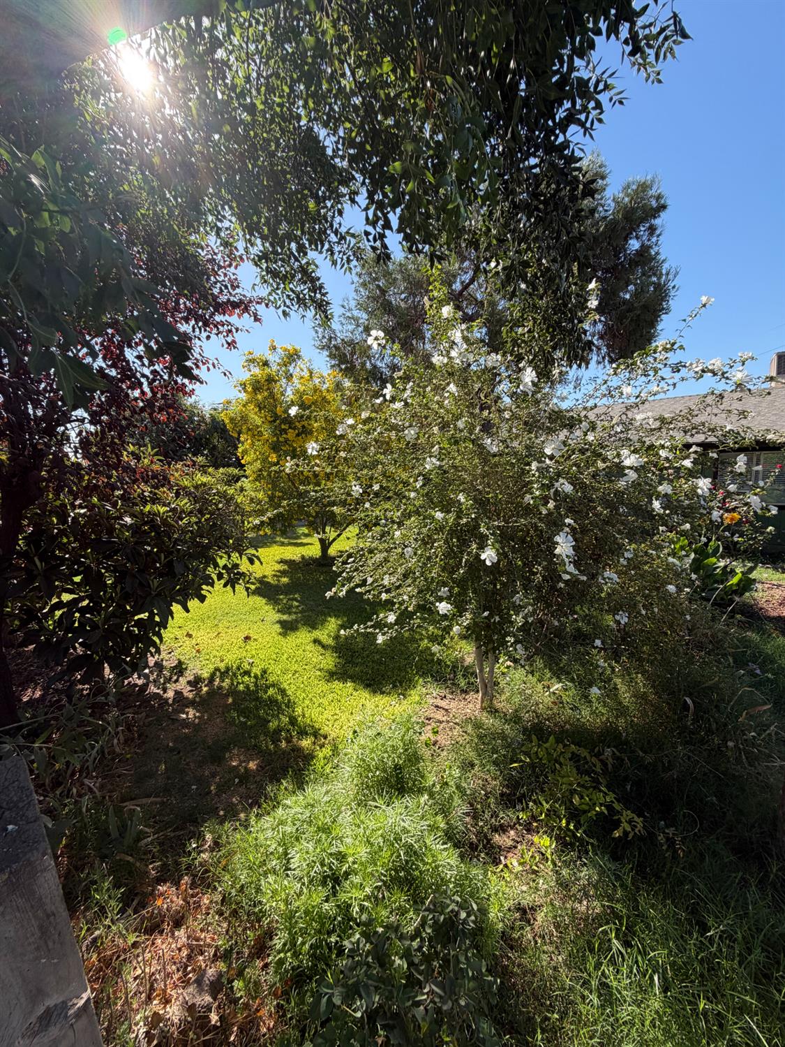 931 E LIST AVE, Exeter, CA 93221