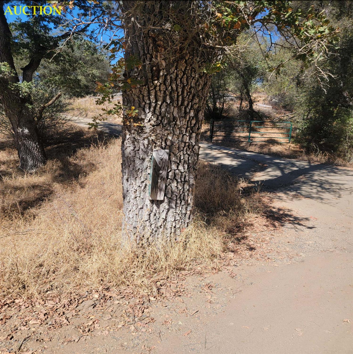 3730 Sherrod Rd, Mariposa, CA 95338