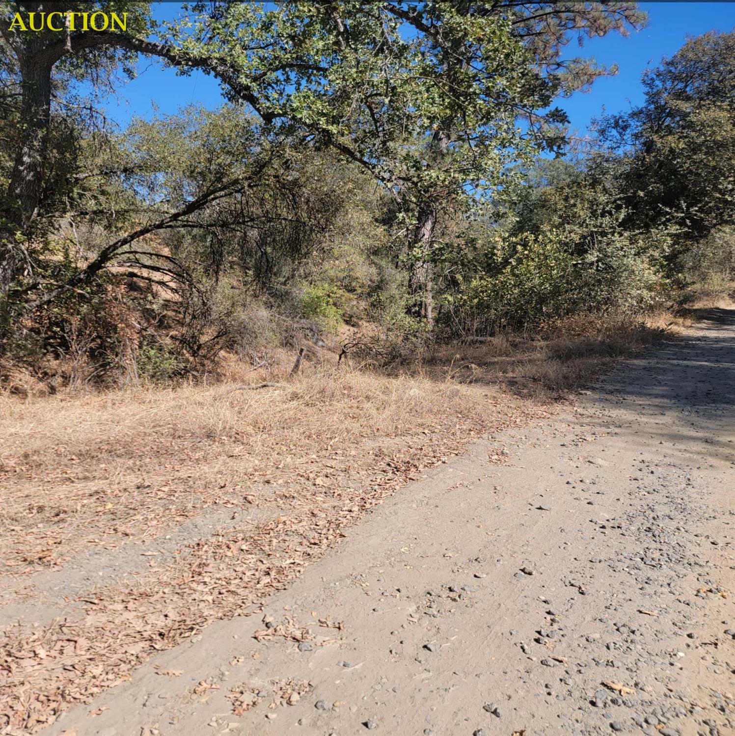 3730 Sherrod Rd, Mariposa, CA 95338