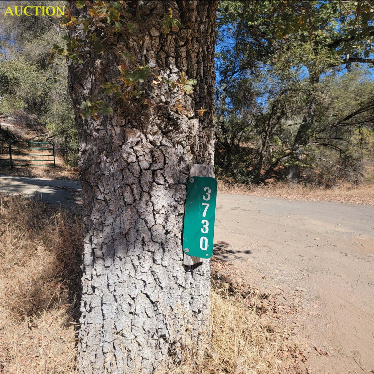 3730 Sherrod Rd, Mariposa, CA 95338