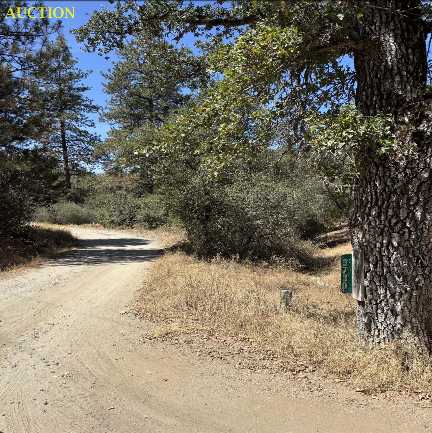 3730 Sherrod Rd, Mariposa, CA 95338