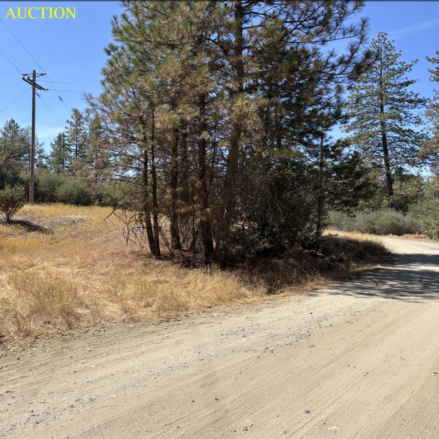 3730 Sherrod Rd, Mariposa, CA 95338