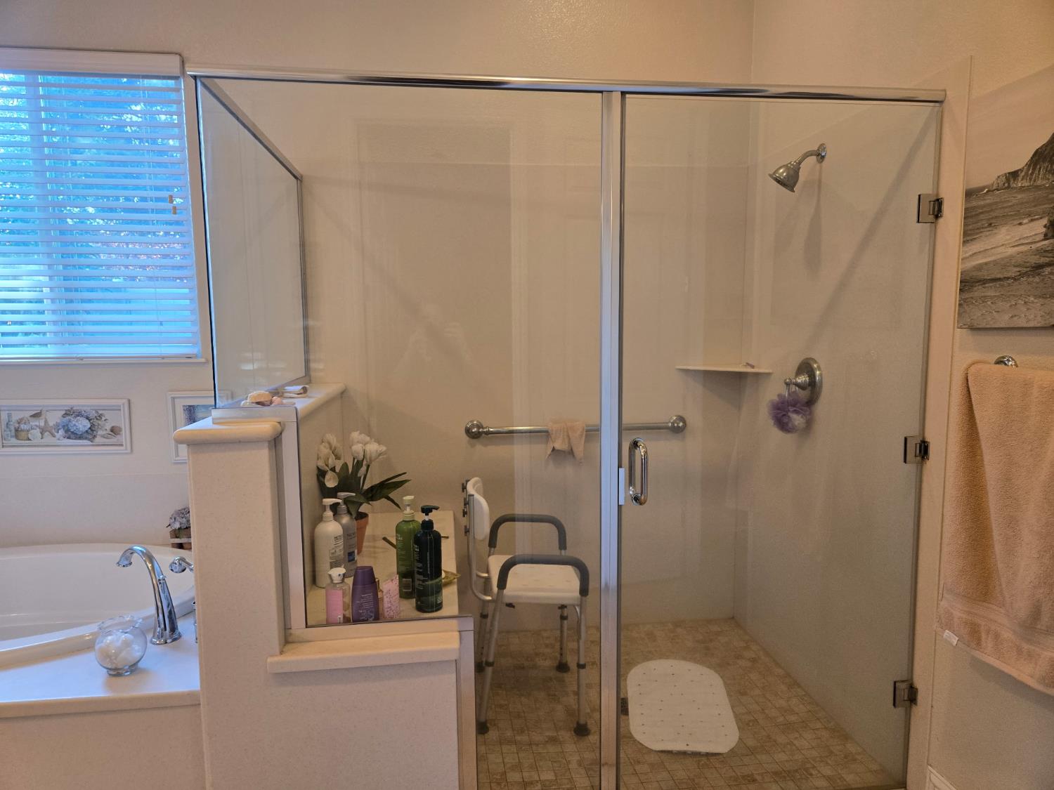 2489 Pepper Tree Ln, Manteca, CA 95336