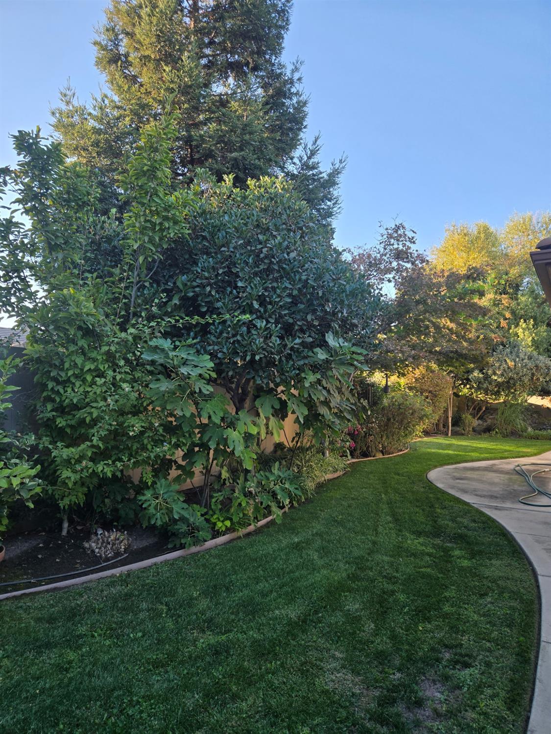 2489 Pepper Tree Ln, Manteca, CA 95336