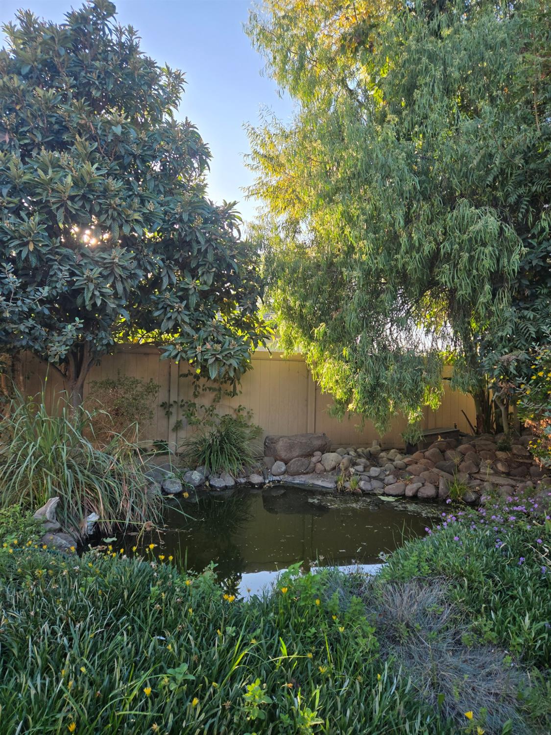 2489 Pepper Tree Ln, Manteca, CA 95336