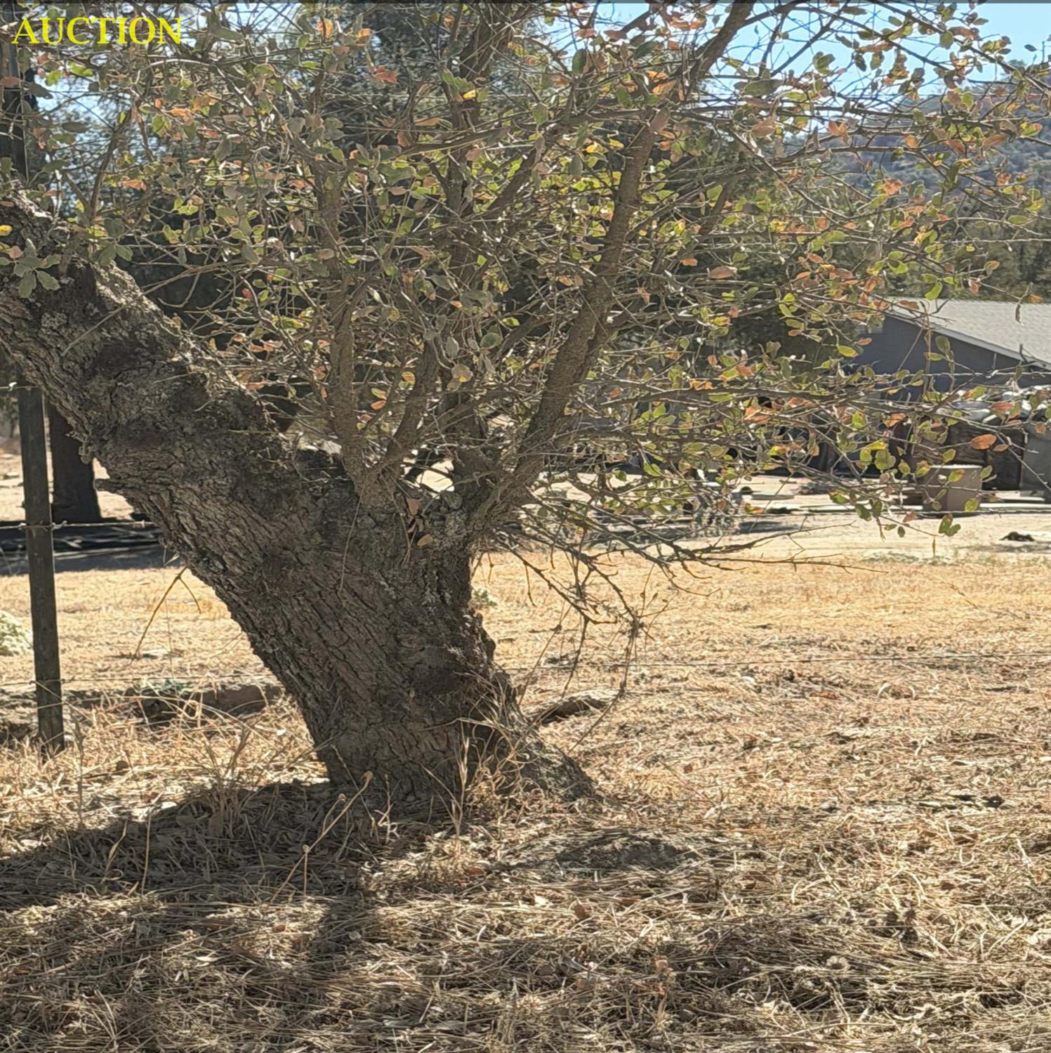 32247 Whispering Springs Ln #R, Tollhouse, CA 93667