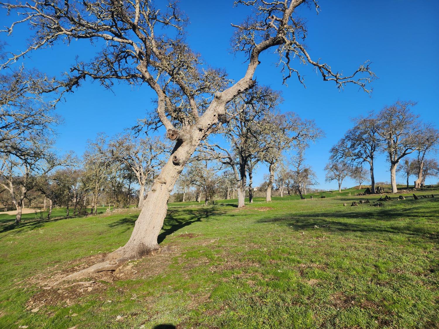 1013 Knolls Dr, Copperopolis, CA 95228