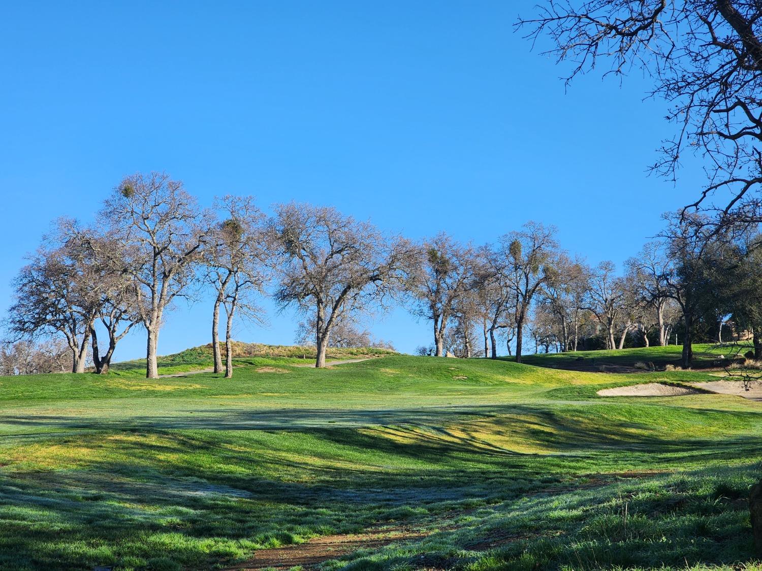 1013 Knolls Dr, Copperopolis, CA 95228