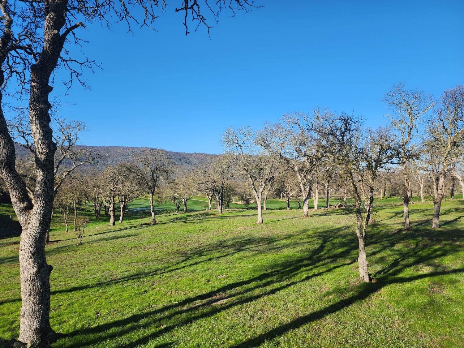 1013 Knolls Dr, Copperopolis, CA 95228