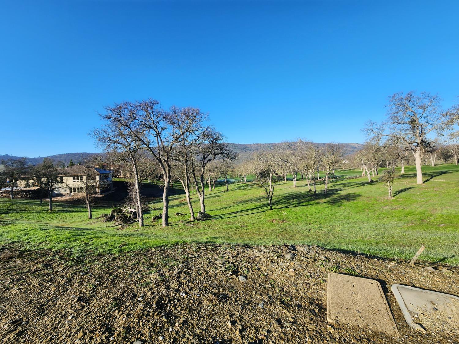 1013 Knolls Dr, Copperopolis, CA 95228