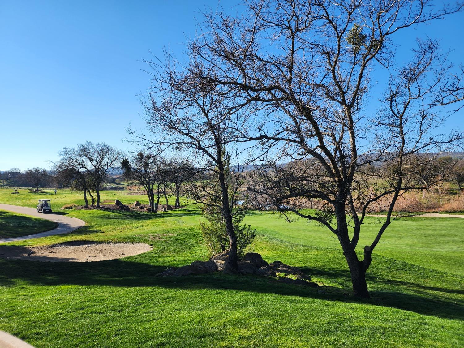 1013 Knolls Dr, Copperopolis, CA 95228