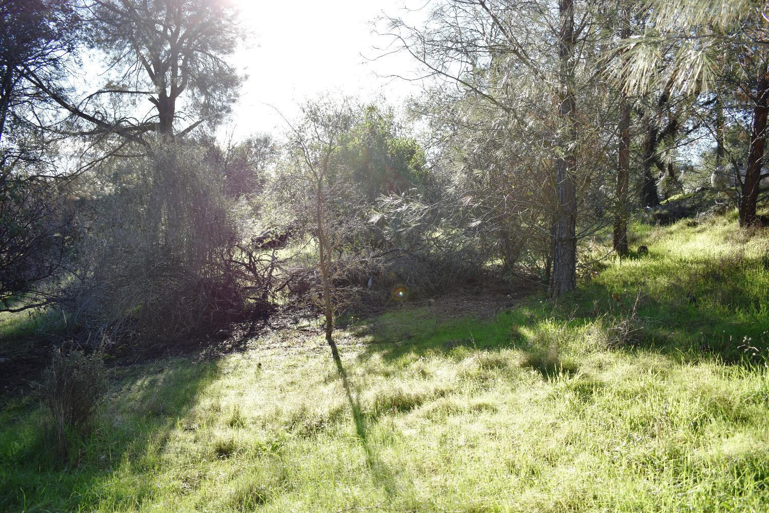 1032 Feather Ct, Copperopolis, CA 95228