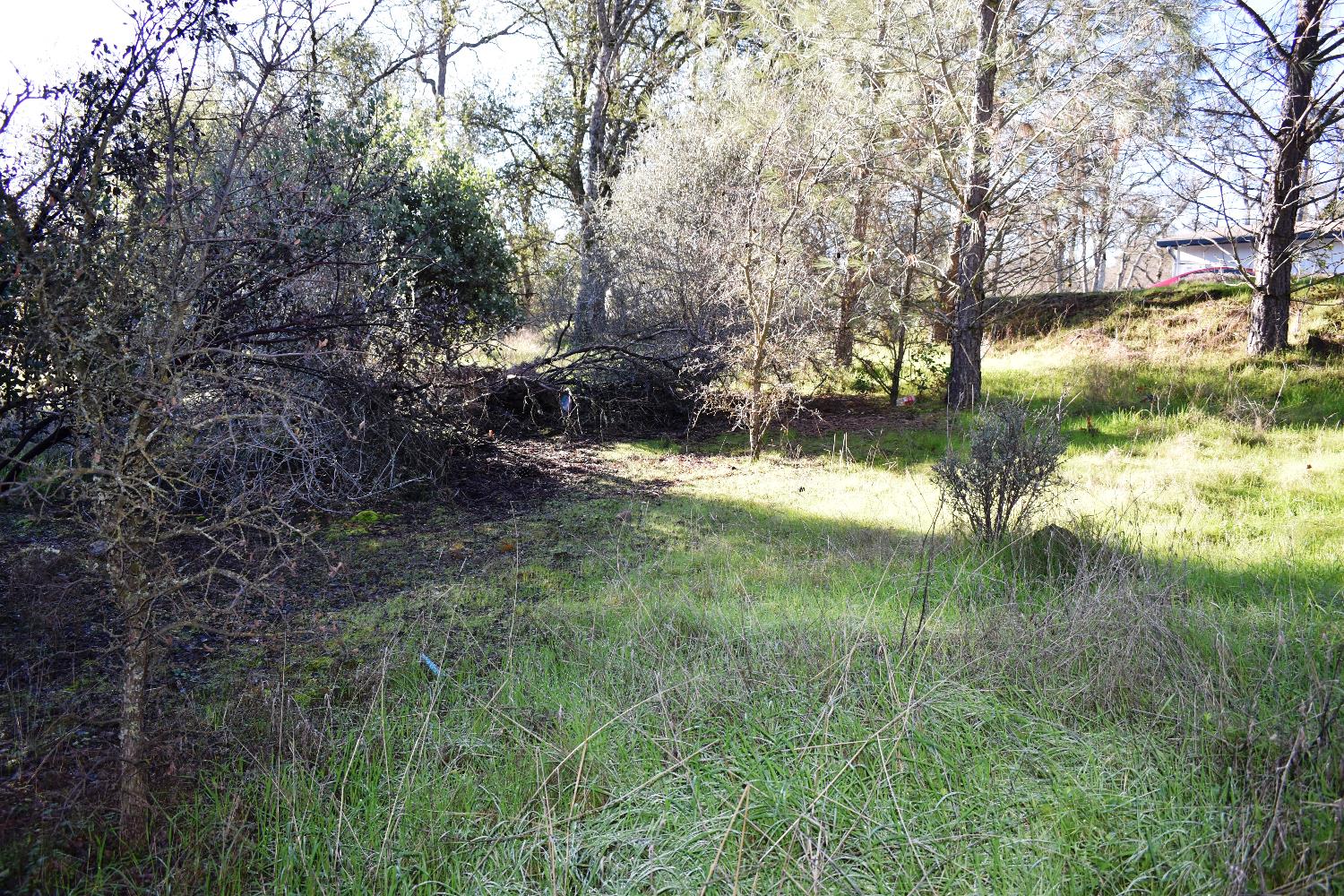 1032 Feather Ct, Copperopolis, CA 95228