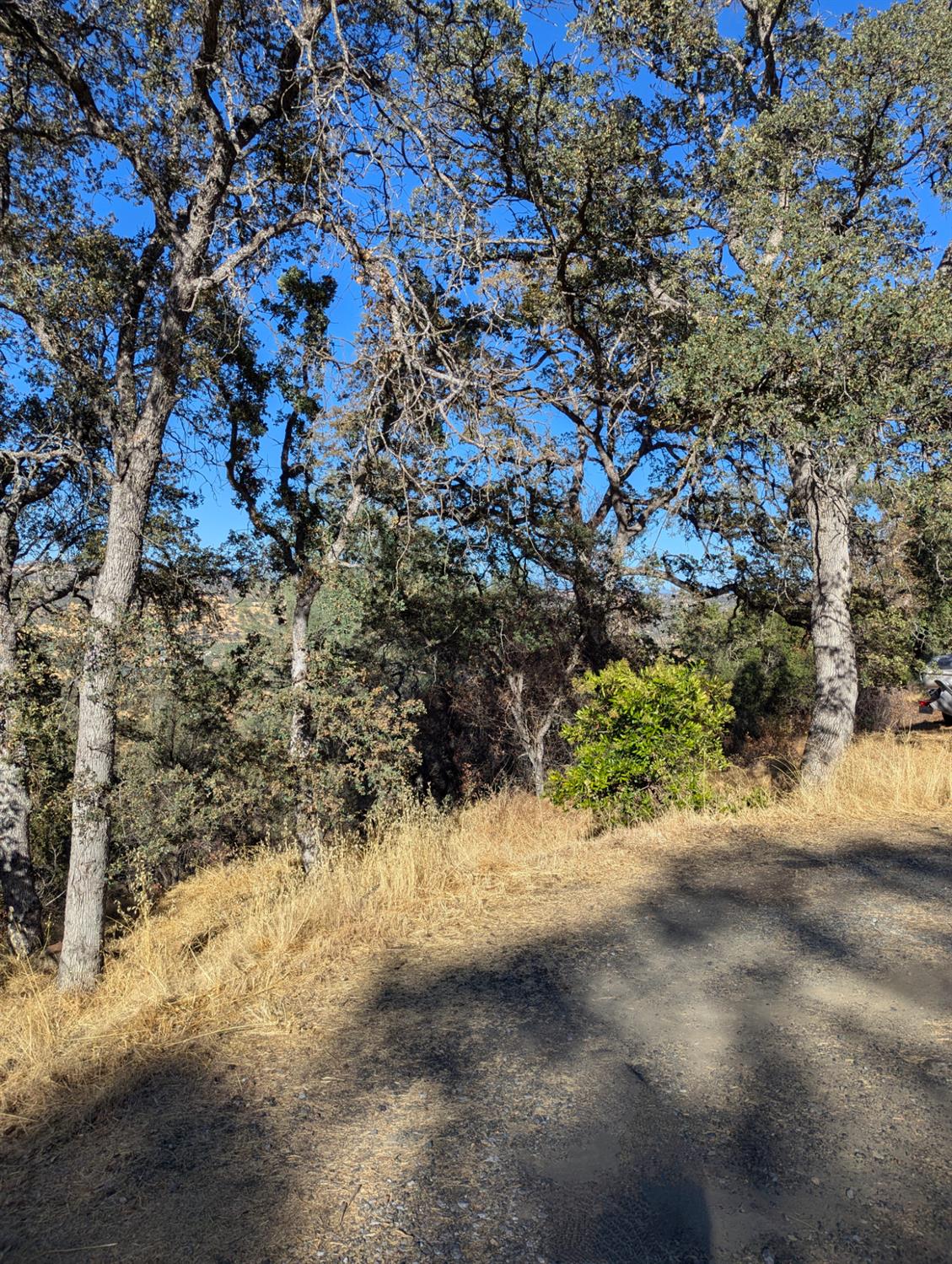 4625 Bayview Dr, Copperopolis, CA 95228