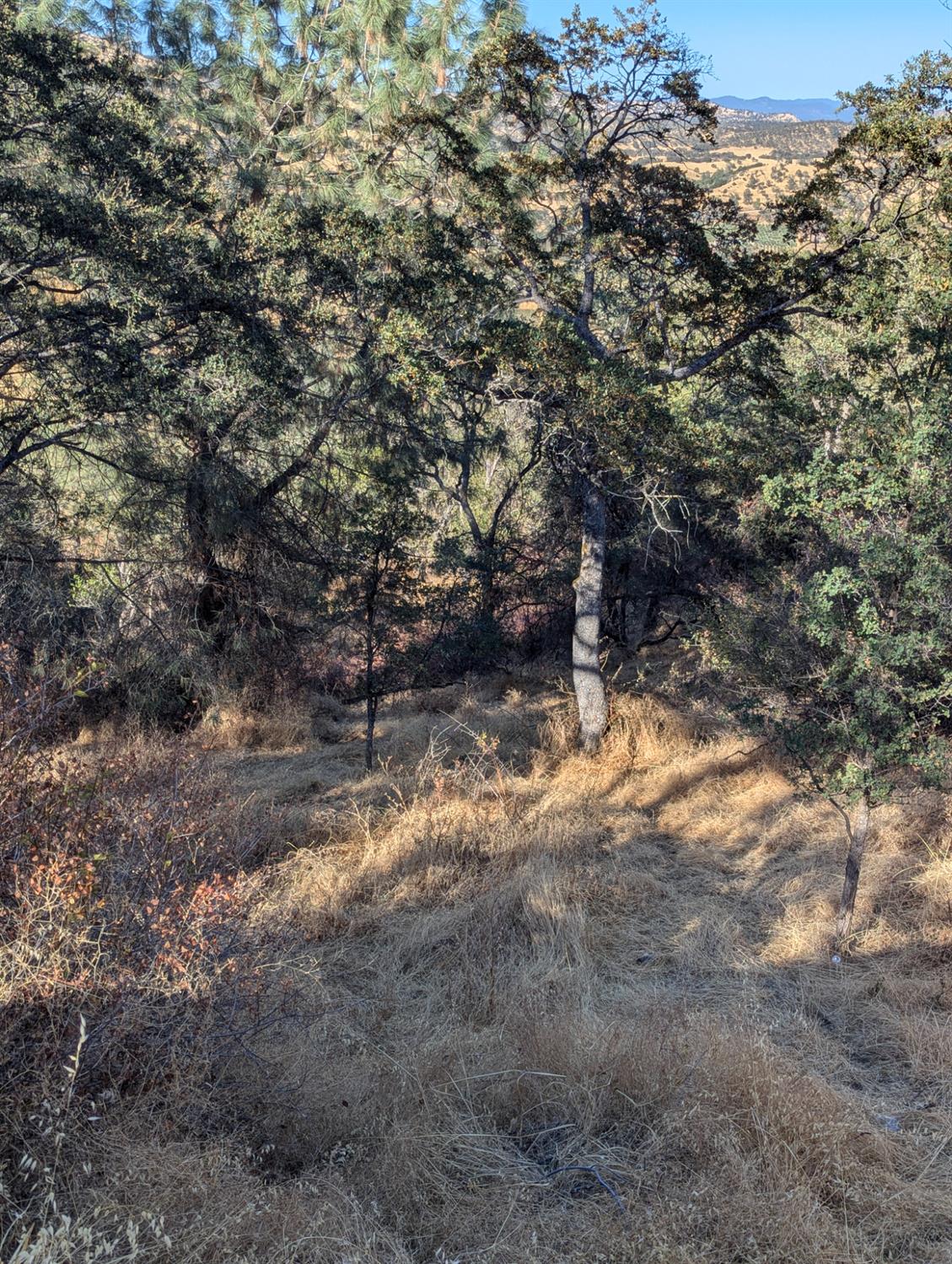 4625 Bayview Dr, Copperopolis, CA 95228