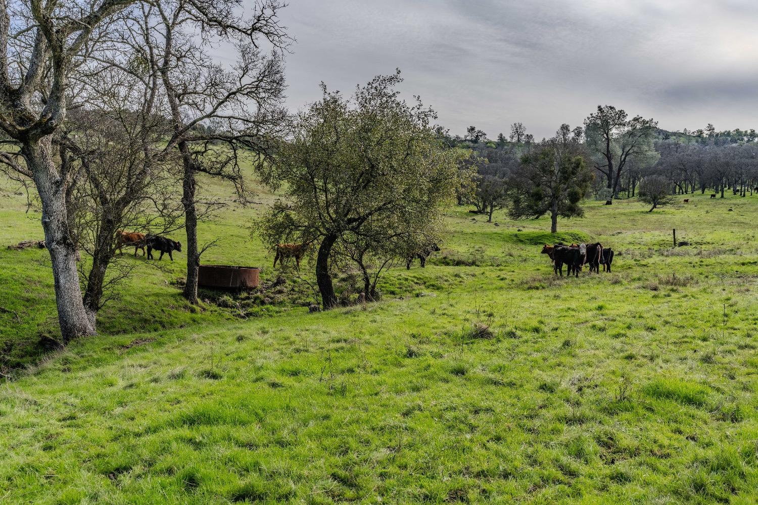 0 Little John Rd, Copperopolis, CA 95228