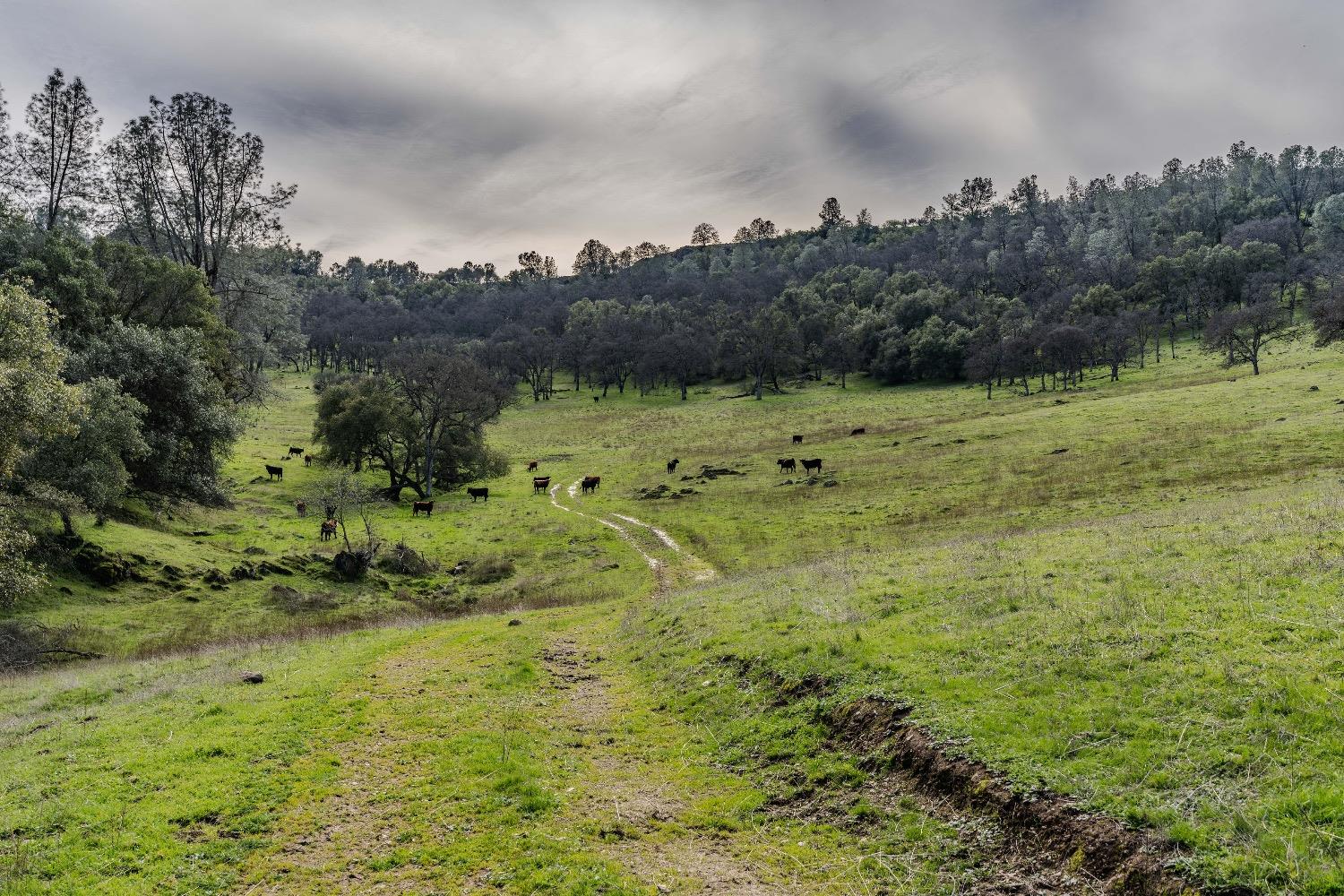 0 Little John Rd, Copperopolis, CA 95228