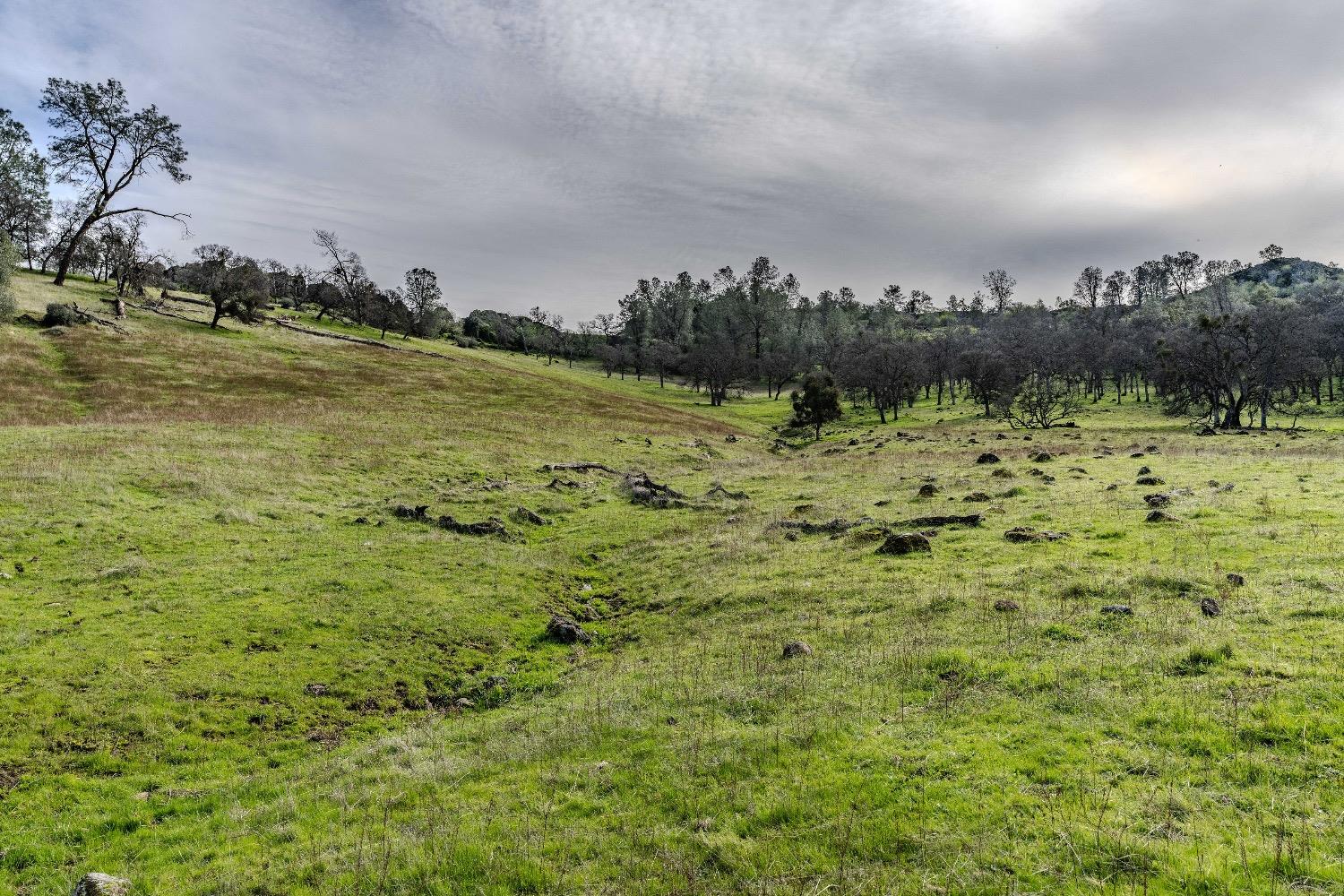 0 Little John Rd, Copperopolis, CA 95228