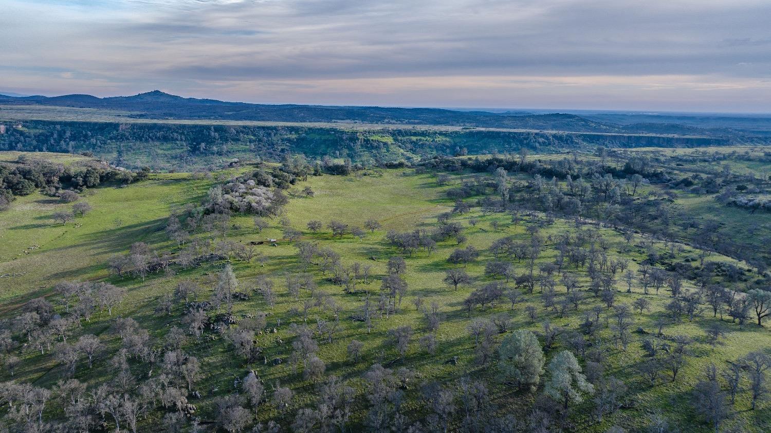 0 Little John Rd, Copperopolis, CA 95228