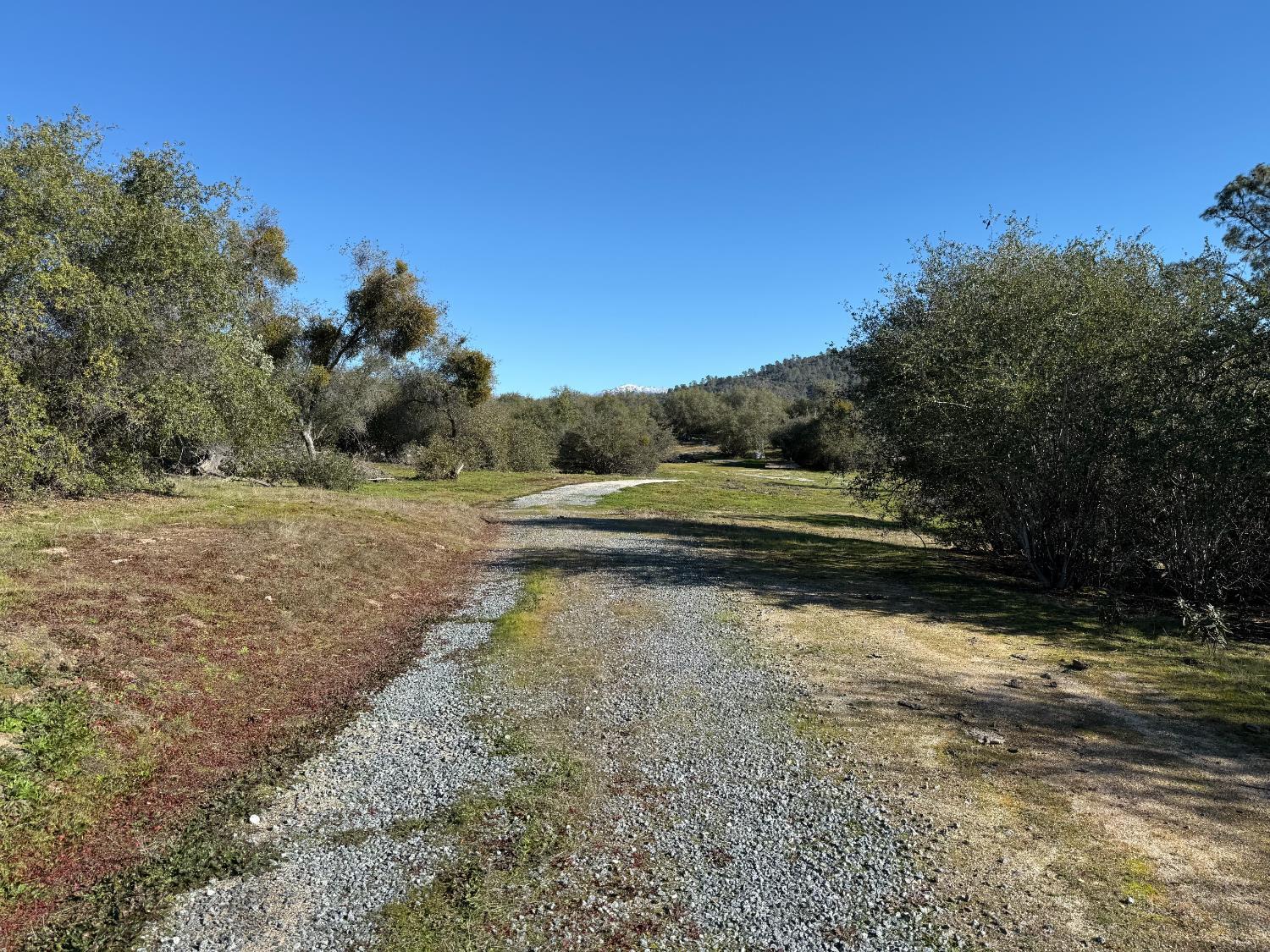 0 37.88 AC Flying O Ranch Rd., O neals, CA 93645